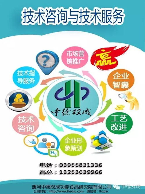 技術咨詢與辦公服務 現(xiàn)代企業(yè)的高效雙翼